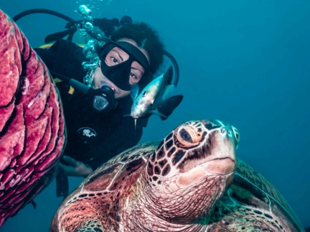 Diving